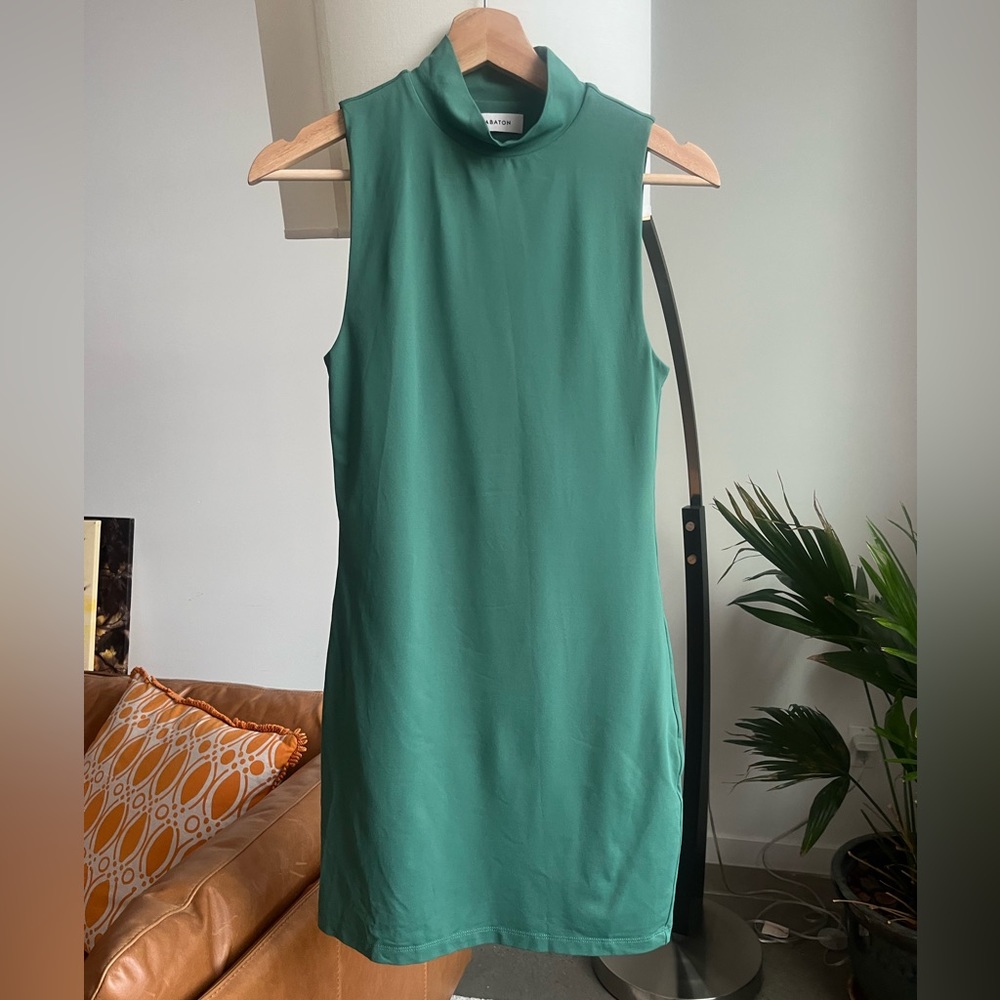 Aritzia Babaton Contour Mockneck Mini Dress